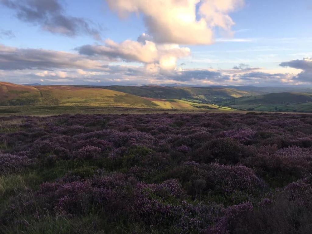 Nant-Y-Glyn Villa Llandrindod Wells Bagian luar foto